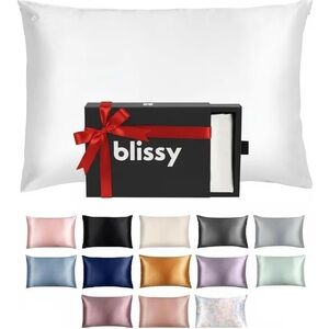Blissy Silk Pillowcase 100% Pure Mulberry Silk 22 Momme 6A Blissy White Standard